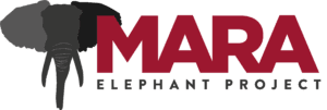 MEP logo dark -linear