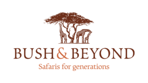 Bush&Beyond