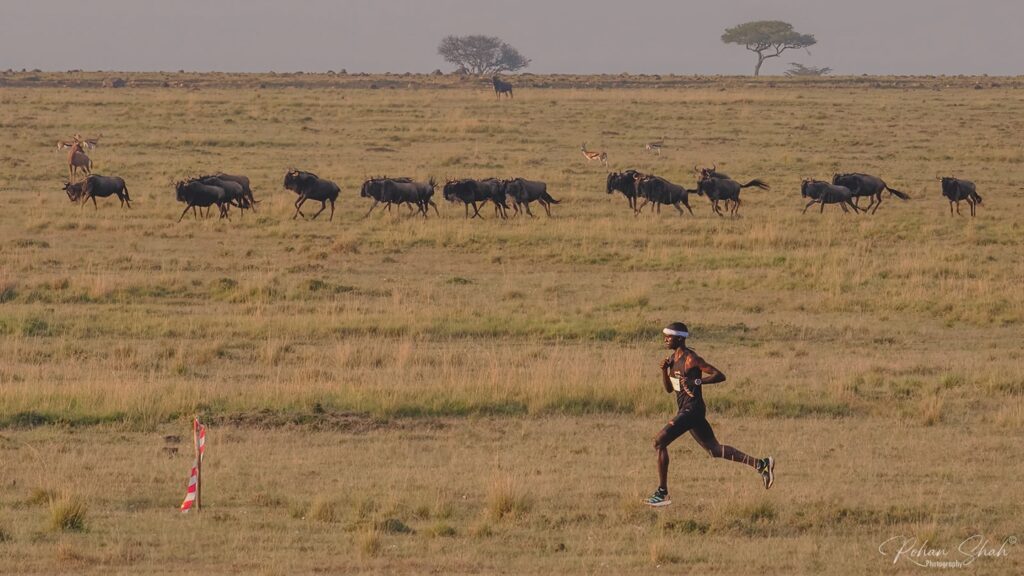 Instagram post from ultra_mara_thon. This post is in position 1.
