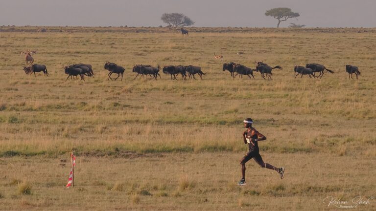 Instagram post from ultra_mara_thon. This post is in position 2.